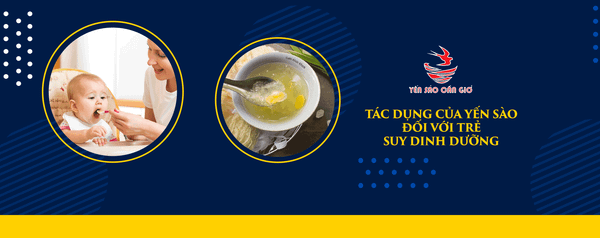Tác Dụng Của Yến Sào Đối Với Trẻ Suy Dinh Dưỡng