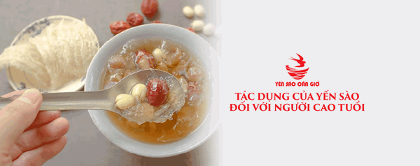Tác Dụng Của Yến Sào Đối Với Người Cao Tuổi