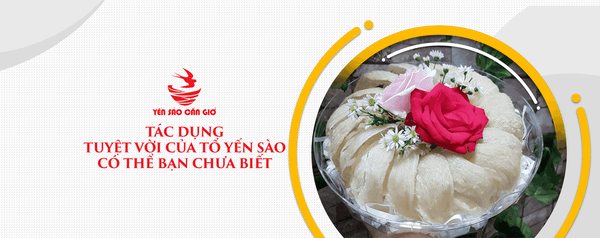 Tác Dụng Tuyệt Vời Của Tổ Yến Sào Có Thể Bạn Chưa Biết