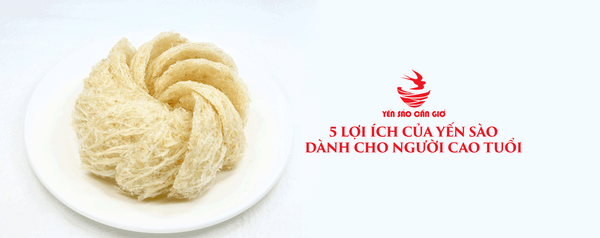 5 Lợi Ích Của Yến Sào Dành Cho Người Cao Tuổi
