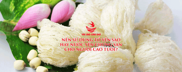 Nên Sử Dụng Tổ Yến Sào Hay Nước Yến Chưng Sẵn Cho Người Cao Tuổi?