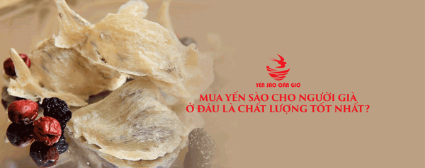 Mua Yến Sào Cho Người Già Ở Đâu Là Chất Lượng Tốt Nhất?