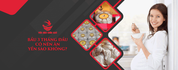 Bầu 3 Tháng Đầu Có Nên Ăn Yến Sào Không?