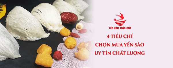 4 Tiêu Chí Khi Chọn Mua Yến Sào Uy Tín Chất Lượng Hiện Nay