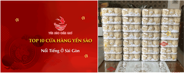 Tìm Hiểu Ngay Top 10 Cửa Hàng Yến Sào Nổi Tiếng Ở Sài Gòn