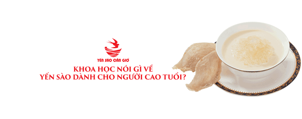 Khoa Học Nói Gì Về Yến Sào Dành Cho Người Cao Tuổi?