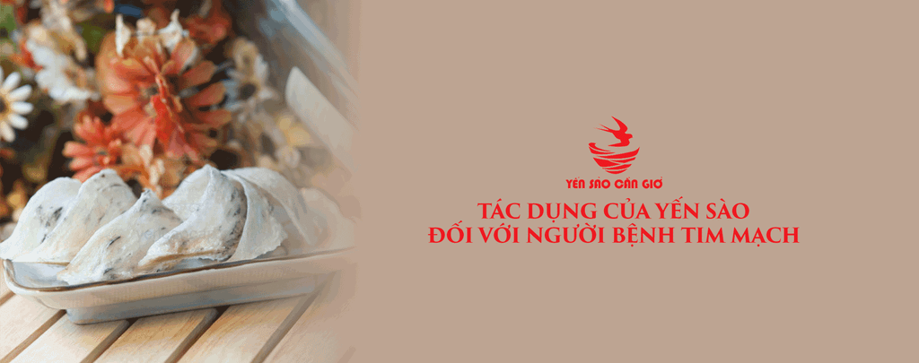 Tác Dụng Của Yến Sào Đối Với Người Bệnh Tim Mạch