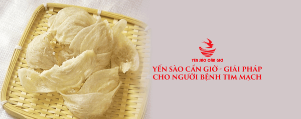 Yến Sào Cần Giờ - Giải Pháp Cho Người Bệnh Tim Mạch