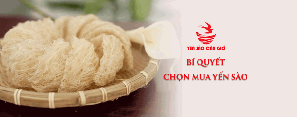 Bí Quyết Chọn Mua Yến Sào Giá Mềm Nhưng Vẫn Đảm Bảo Chất Lượng