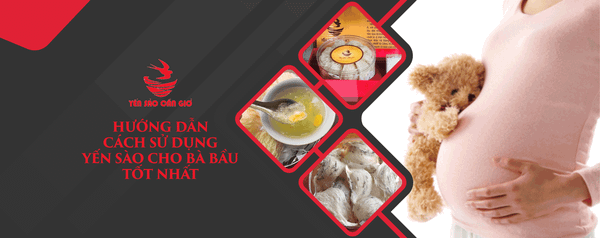 Hướng Dẫn Cách Sử Dụng Yến Sào Cho Bà Bầu Tốt Nhất