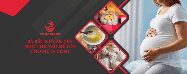 Bà Bầu Nên Ăn Yến Như Thế Nào Để Tốt Cho Mẹ Và Con?