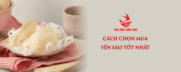 Mách Bạn Cách Chọn Yến Sào Tốt Nhất Hiện Nay