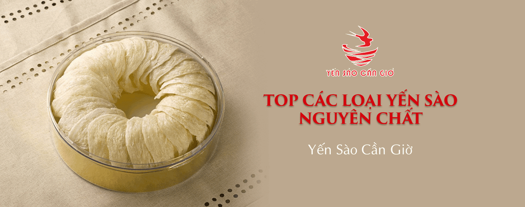 Top Các Loại Yến Sào Nguyên Chất Nổi Tiếng Tại Việt Nam