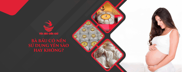 Bà Bầu Có Nên Sử Dụng Yến Sào Hay Không? Những Điều Nên Biết
