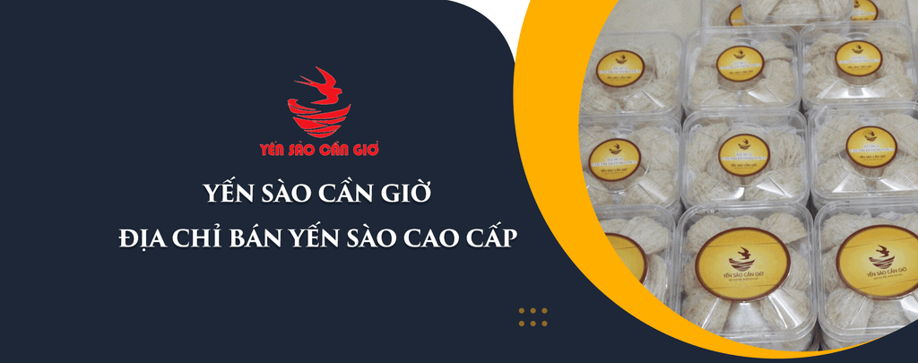 Mua Yến Sào Ở Đâu Tốt Uy Tín Nhất Tại Quy Nhơn