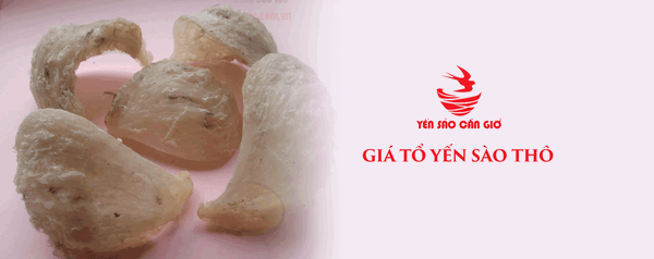 Tổ Yến Sào Thô Có Giá Bao Nhiêu Trên Thị Trường Hiện Nay?