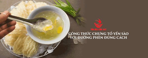 Công Thức Chưng Tổ Yến Sào Với Đường Phèn Đúng Cách