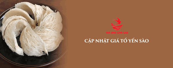 Cập Nhật Giá Tổ Yến Sào Các Loại Trên Thị Trường Hiện Nay