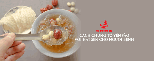 Cách Chưng Tổ Yến Sào Với Hạt Sen Cho Người Bệnh