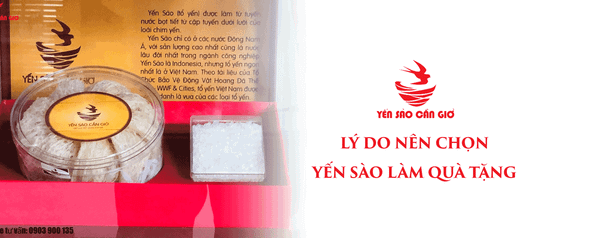 Tổng Hợp Những Lý Do Nên Chọn Yến Sào Chất Lượng Làm Quà Tặng