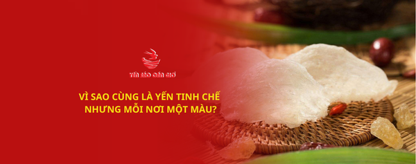 Vì Sao Cùng Là Yến Tinh Chế Nhưng Mỗi Nơi Một Màu?