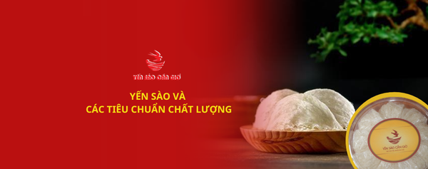 Yến Sào Và Các Tiêu Chuẩn Chất Lượng