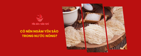 Có nên ngâm yến sào trong nước nóng?