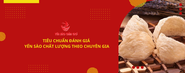 Tiêu chuẩn đánh giá yến sào chất lượng theo chuyên gia