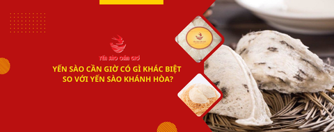 Yến Sào Cần Giờ Có Gì Khác Biệt So Với Yến Sào Khánh Hòa?