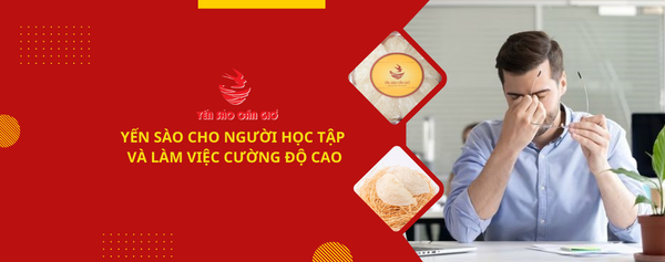 Tác Dụng Yến Sào Cho Người Học Tập Và Làm Việc Cường Độ Cao
