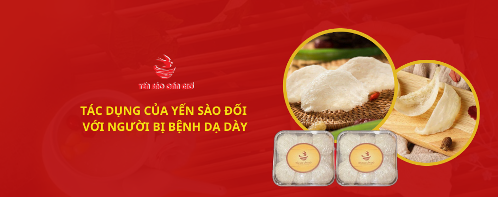 Tác Dụng Của Yến Sào Đối Với Người Bị Bệnh Dạ Dày