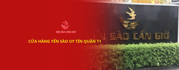 Cửa Hàng Yến Sào Uy Tín Quận 11 – Chất Lượng Đến Từ Yến Sào Cần Giờ
