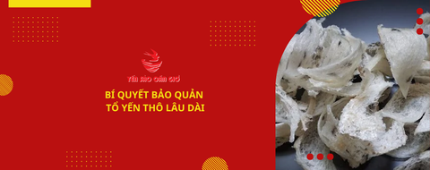 Bí Quyết Bảo Quản Tổ Yến Thô Lâu Dài