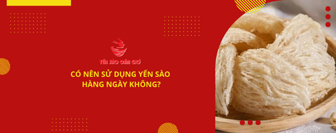 Có Nên Sử Dụng Yến Sào Hàng Ngày Không?