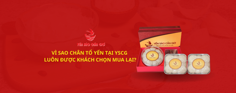 Vì sao chân tổ yến tại Yến Sào Cần Giờ luôn được khách chọn mua lại?