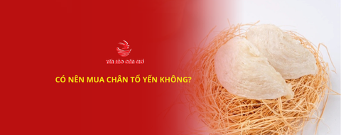 Có nên mua chân tổ yến không?