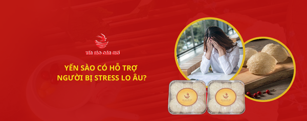 YẾN SÀO HỖ TRỢ NGƯỜI BỊ STRESS LO ÂU? THỰC HƯ THẾ NÀO?