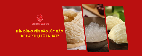 Nên Dùng Yến Sào Vào Lúc Nào Để Hấp Thụ Tốt Nhất?