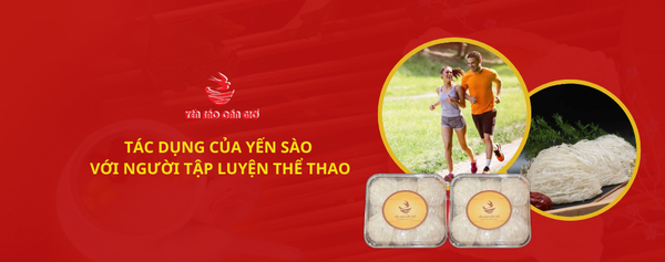 TÁC DỤNG CỦA YẾN SÀO VỚI NGƯỜI TẬP LUYỆN THỂ THAO