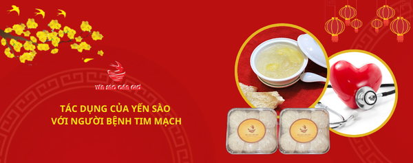 Tác dụng của yến sào với người bệnh tim