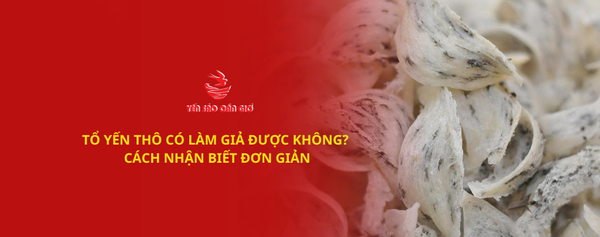 TỔ YẾN THÔ CÓ LÀM GIẢ ĐƯỢC KHÔNG? LÀM SAO ĐỂ NHẬN BIẾT?
