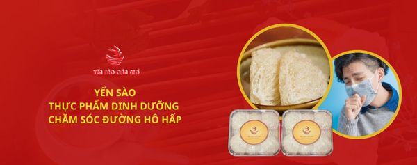 YẾN SÀO - THỰC PHẨM DINH DƯỠNG CHĂM SÓC ĐƯỜNG HÔ HẤP LÝ TƯỞNG