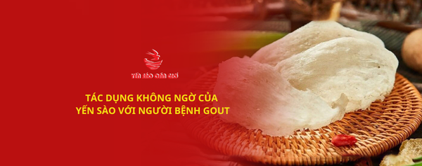 Tác dụng không ngờ của yến sào với người bệnh gout