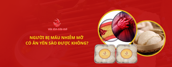 NGƯỜI BỊ MÁU NHIỄM MỠ CÓ ĂN YẾN SÀO ĐƯỢC KHÔNG?