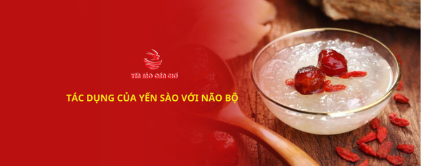 Tác dụng của yến sào với não bộ