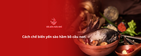 Cách chế biến yến sào hầm bồ câu non