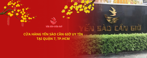 CỬA HÀNG YẾN SÀO CẦN GIỜ UY TÍN TẠI QUẬN 7, TP.HCM