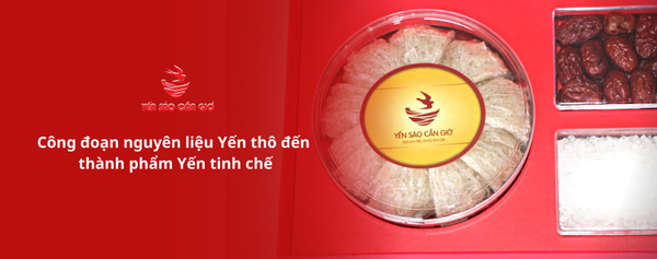 Công đoạn nguyên liệu Yến thô đến thành phẩm Yến tinh chế