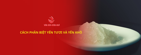 Cách Phân biệt Yến tươi và Yến khô