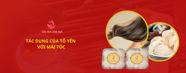 TÁC DỤNG CỦA YẾN SÀO VỚI TÓC